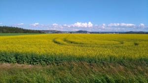 Lévis-RDL 15 juillet 2017 (17)